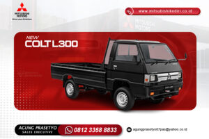 NEW COLT L300